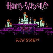 哈利波特2（D商英文版）