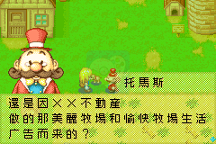 牧场物语 矿石镇的伙伴们女孩篇（Middle333繁体汉化版）