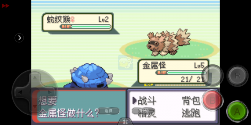 口袋妖怪 光明誓言（中文版）