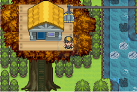 口袋妖怪 黑暗领域（美版）