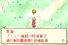 口袋妖怪 织女星（汉化版）