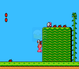 超级马里奥USA（日版）