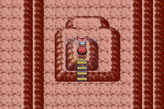 口袋妖怪 胜利之火（中文版）