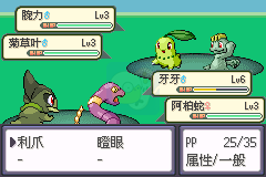 口袋妖怪 胜利之火（中文版）