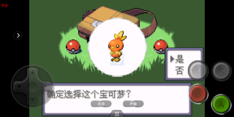 口袋妖怪 雪之白6.0EX+（中文版）