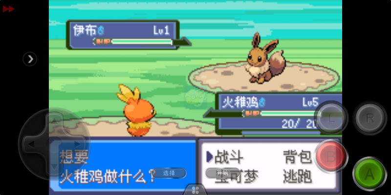 口袋妖怪 雪之白6.0EX+（中文版）