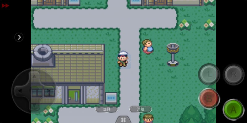 口袋妖怪 雪之白6.0EX+（中文版）