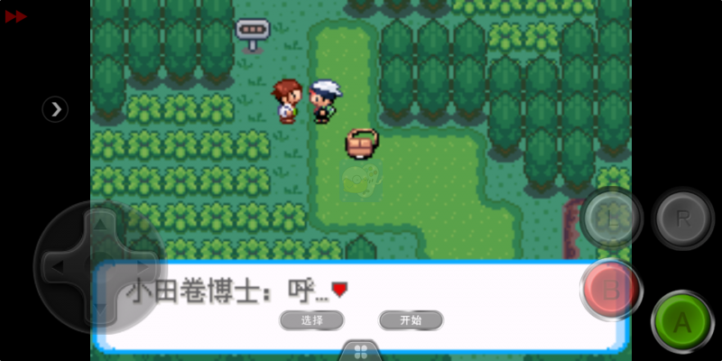 口袋妖怪 雪之白6.0EX+（中文版）