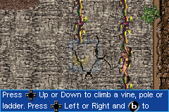 古墓丽影（美版）