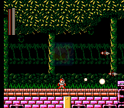 洛克人4 Dol ( 美版 )