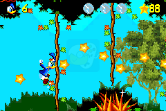 唐老鸭A（欧版）