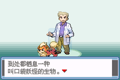 口袋妖怪 永恒之焱zero（汉化版）