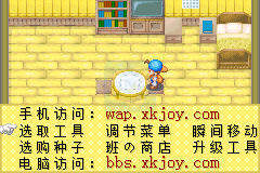 牧场物语 克罗狄斯版（汉化版）