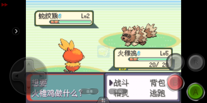 口袋妖怪 忆梦之巅灭世章（中文版）