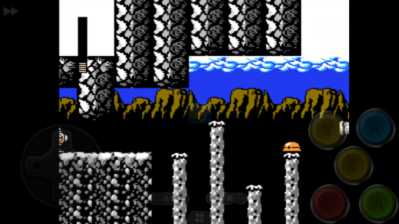 洛克人5 门中的Dood（美版）