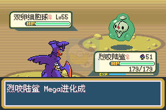 口袋妖怪 火红802（中文版）