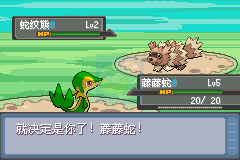 口袋妖怪 进击之旅（中文版）