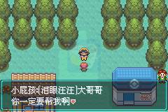 口袋妖怪 进击之旅（中文版）