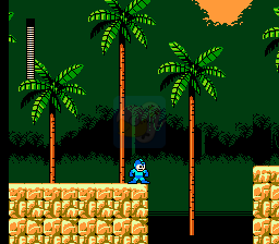 洛克人5 繁体yh ( 日版 )