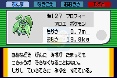 口袋妖怪 牛郎星（日版）