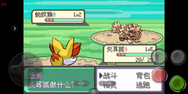 口袋妖怪 永恒之沫3.0续版（中文版）