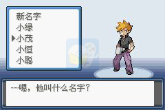 口袋妖怪 宿命的轮回（中文版）