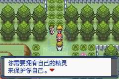 口袋妖怪 宿命的轮回（中文版）