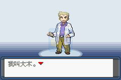 口袋妖怪 宿命的轮回（中文版）