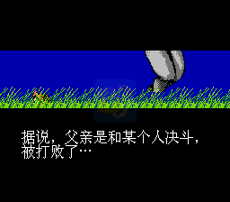 忍者龙剑传 hack (中文版)