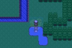 口袋妖怪 日食月食（中文版）