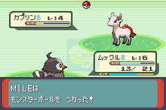 口袋妖怪 牛郎星（日版）