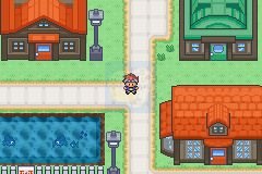 口袋妖怪 口袋暴龙（中文版）