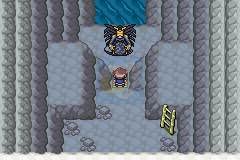 口袋妖怪 口袋暴龙（中文版）