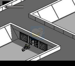 终结者2 审判日（美版）