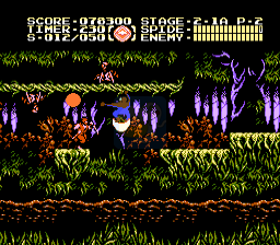 忍者龙剑传3 蜘蛛侠（美版）