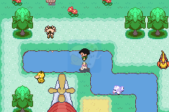 口袋妖怪 圣灰 hack(完整汉化版)