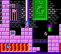 索尼克优化版（中文版）