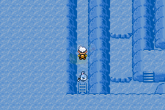 口袋妖怪 心魂之羽（中文版）