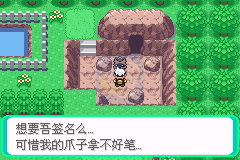 口袋妖怪 心魂之羽（中文版）