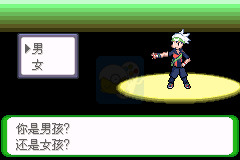 口袋妖怪 空之花神（最终汉化补完版）