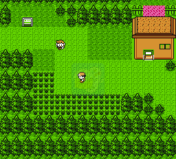 口袋妖怪金（中文版）