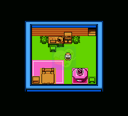 口袋妖怪金（中文版）