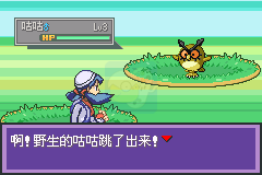 口袋妖怪  液体水晶（完全汉化）