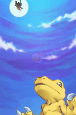 数码宝贝 冠军（美版）