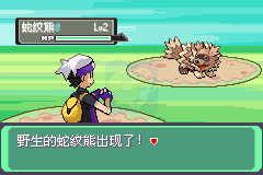 口袋妖怪空之花神