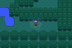 口袋妖怪 日食月食（中文版）