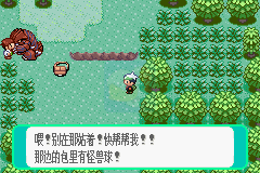 口袋妖怪噩梦的前夕（中文版）