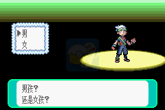 口袋妖怪噩梦的前夕（中文版）