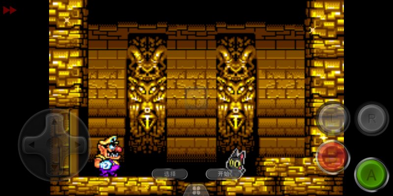 瓦力欧寻宝记（汉化版）