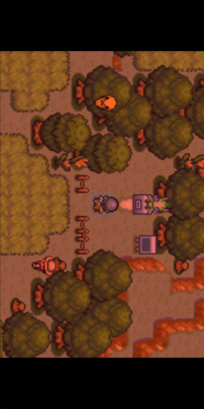 口袋妖怪 冥泣（美版）